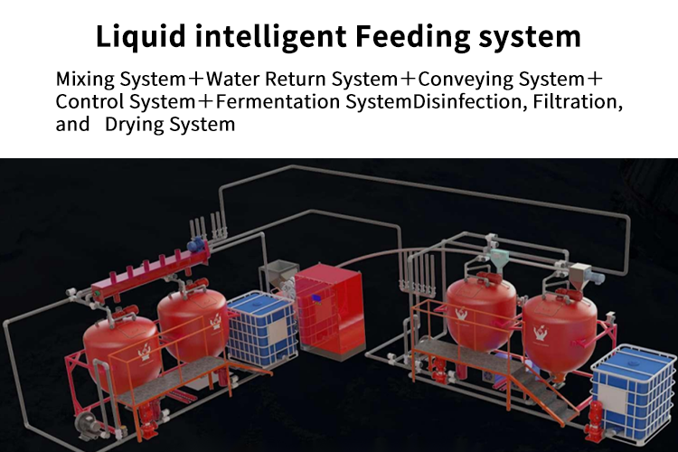 Automated Swine Liquid Timed Feeding System with Fermentation Function - New Condition Animal Husbandry Equipment