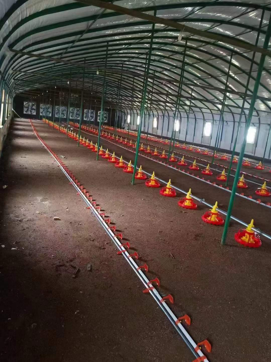Feeding System