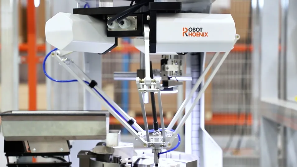 Delta Robot Integrated Cosmetic Sachet Packing and Automated Case Erector System