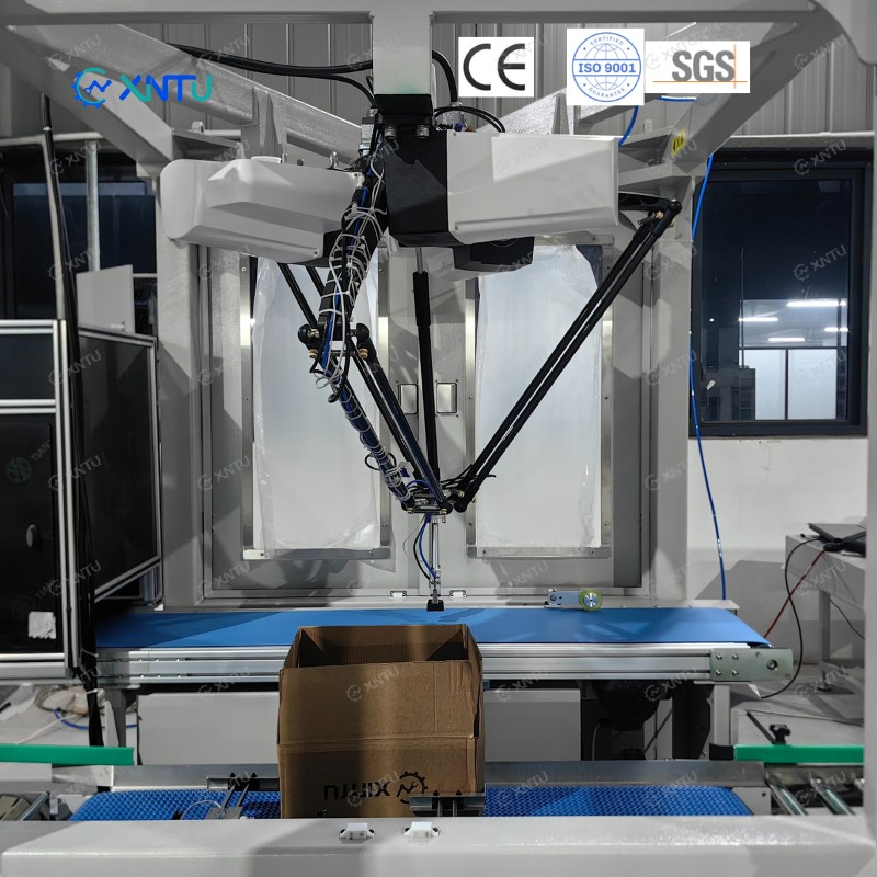 Delta Robot Tray Box Case Packer of Line Packaging System for Coffee Bag