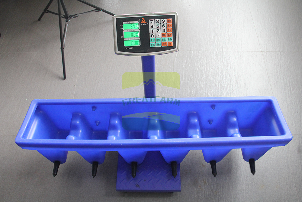 Calf Feeder Detail 6