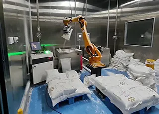 Robotic Depalletizing Process View 2