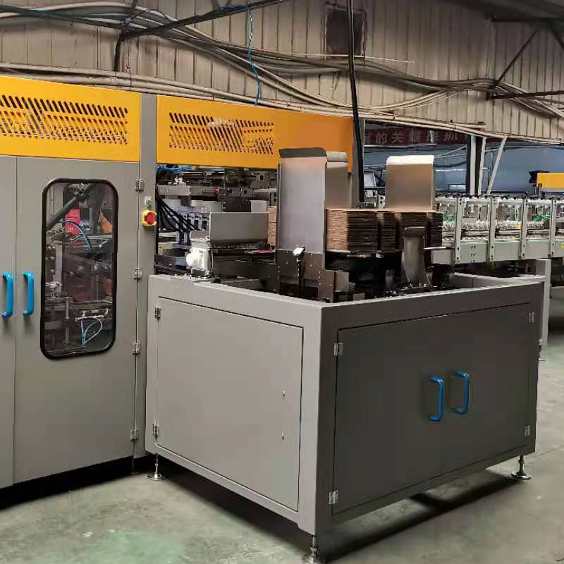 Automatic case Packing Carton Packer case Packaging Automated Packaging Systems with Water