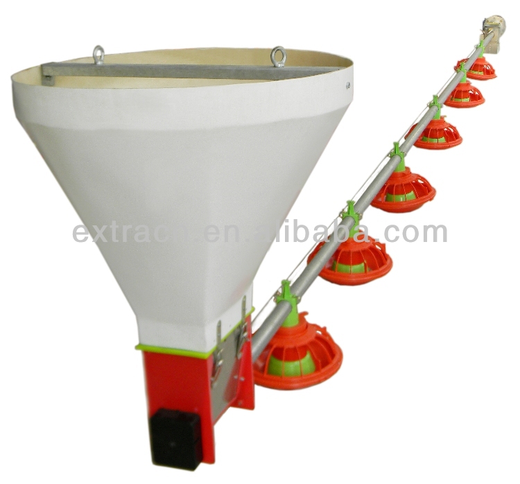 Free Range Layer Feeding System