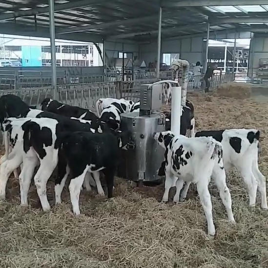 Automatic Calf Milk Feeding System Healthy Calf Feeder with 10 Teats for Dairy Calves