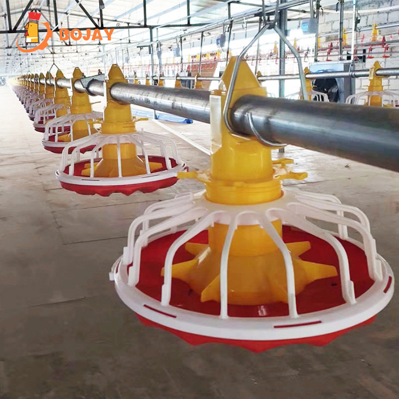 Hot-Selling Automatic Chicken Feeding System with Durable PP Steel Core Components and 1-Year Warranty
