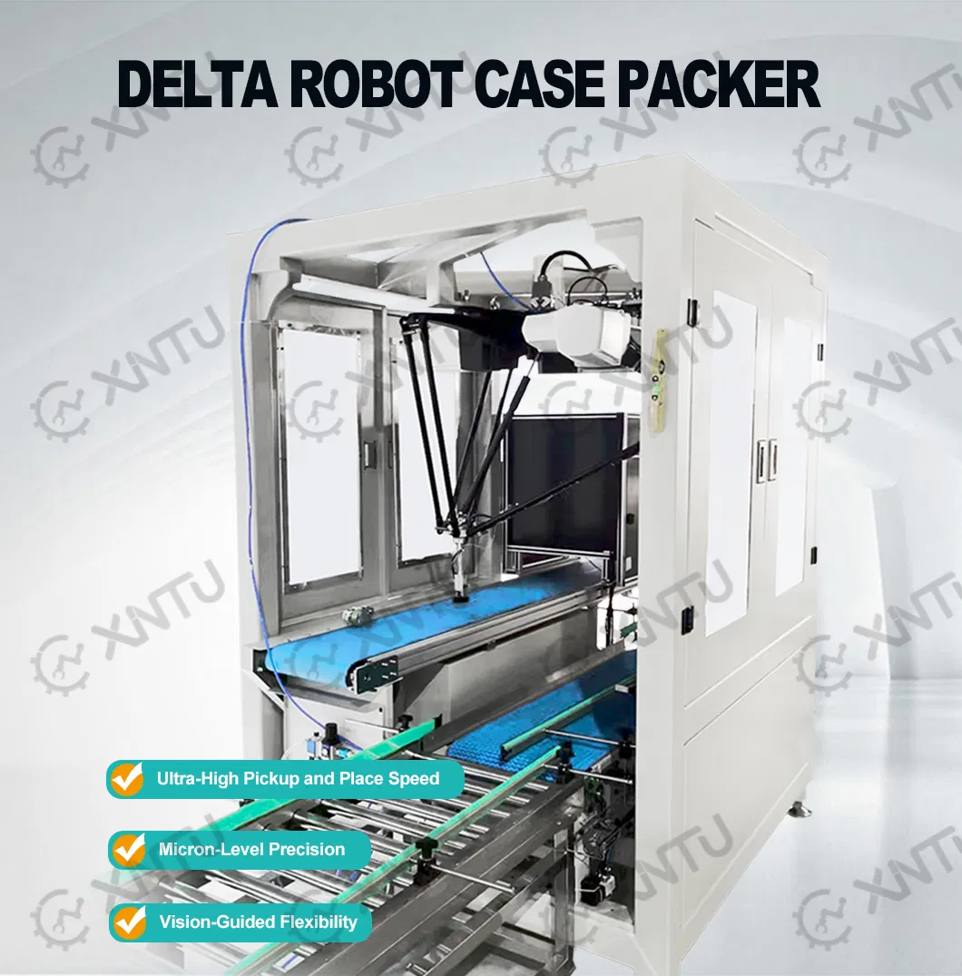 Delta Robot Case Packer Details