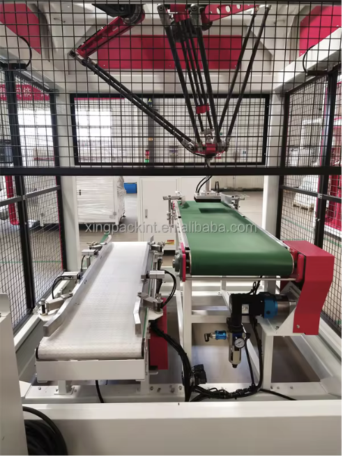 Automatic Delta Robot Case Packer for Bags Bottles and Cartons