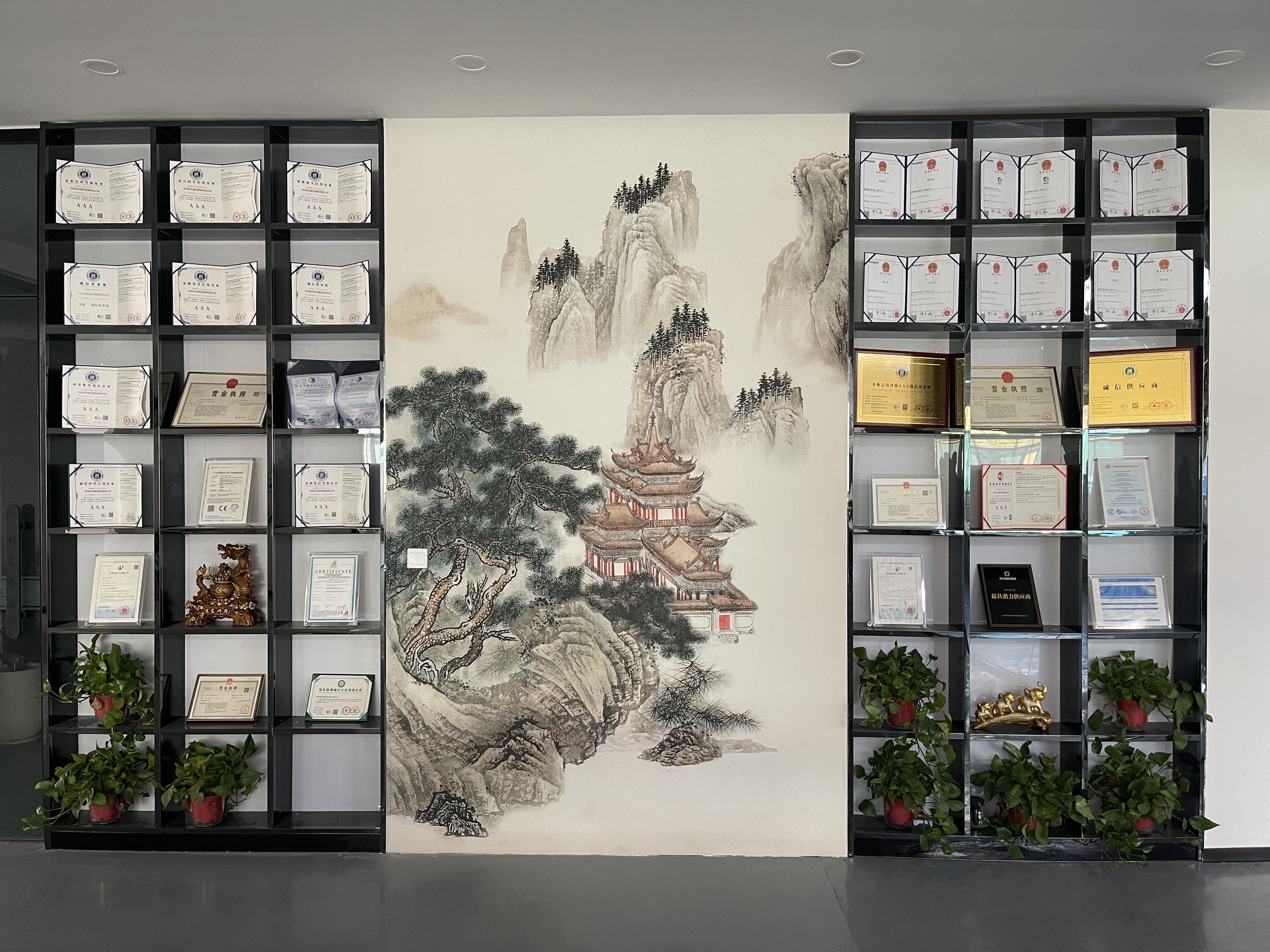 Certificate Wall Showcase