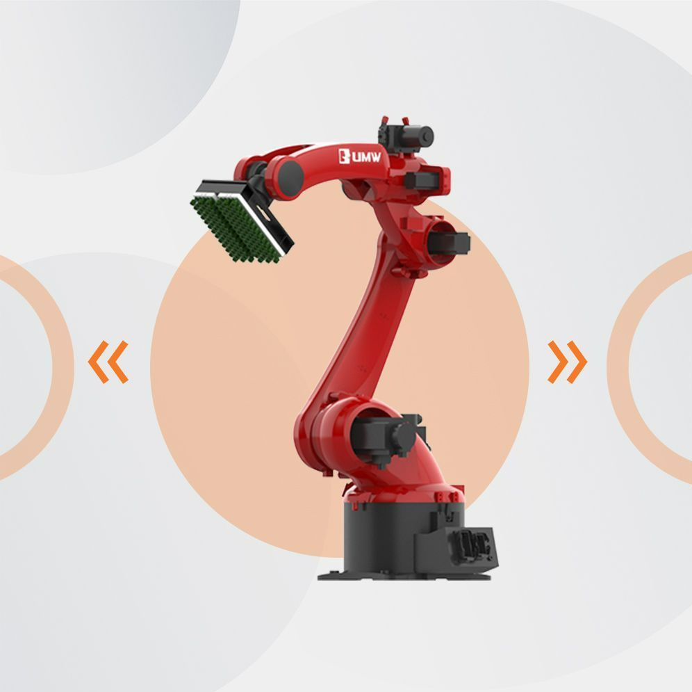 Customizable Robotic Depalletizing System with Versatile Adjustable Arm