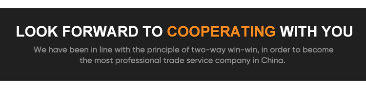Packaging and Shipment Logistics
