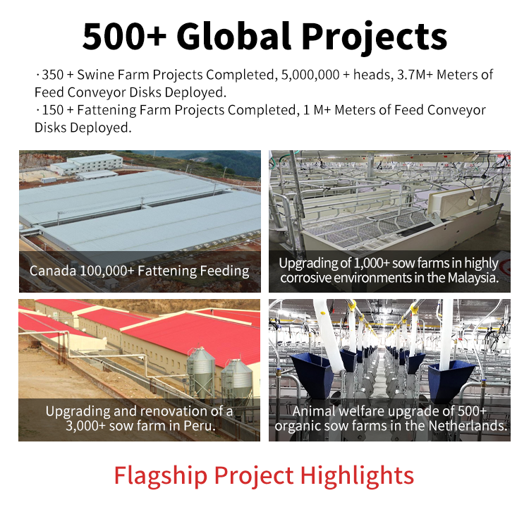 Automated Swine Liquid Timed Feeding System with Fermentation Function - New Condition Animal Husbandry Equipment