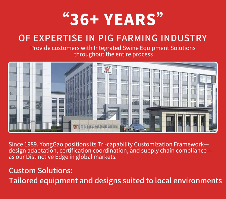 Automated Swine Liquid Timed Feeding System with Fermentation Function - New Condition Animal Husbandry Equipment
