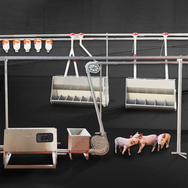 Large Commercial Farming and Animal Husbandry Automatic Feeding System Sow Fattening Pig Automatic Feeding Equipment