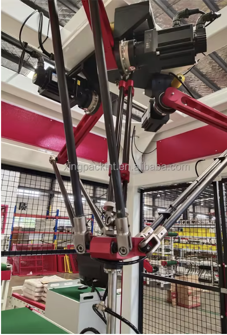 Automatic Delta Robot Case Packer for Bags Bottles and Cartons