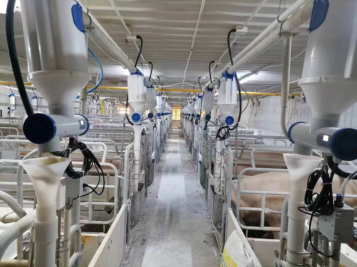 Feeding system detailed view