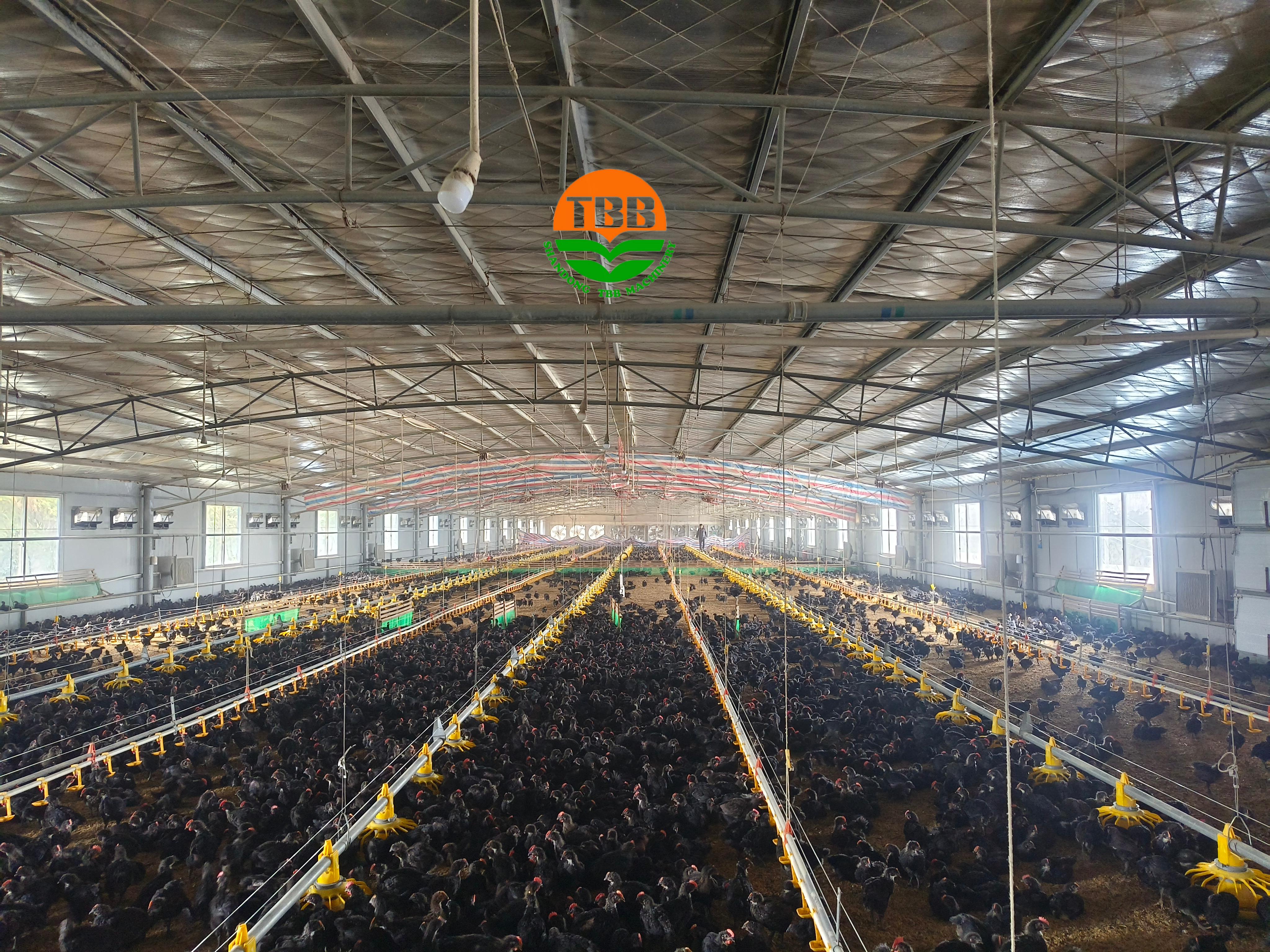 Feeding System