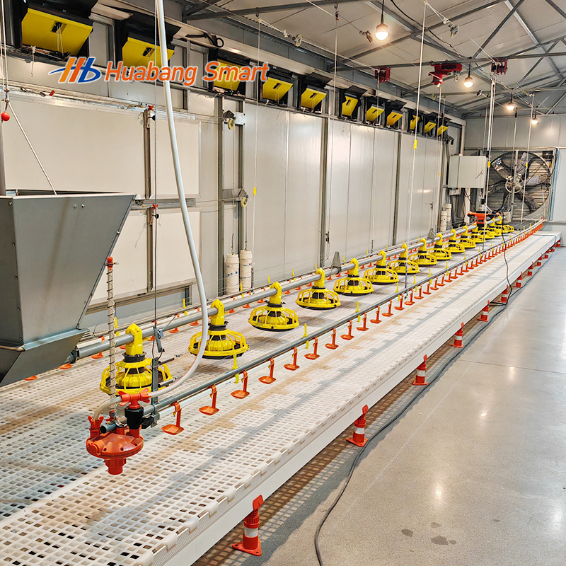 Fully Automatic Poultry Feeding System with Durable PP Material and Efficient Design for Modern Chicken Farms