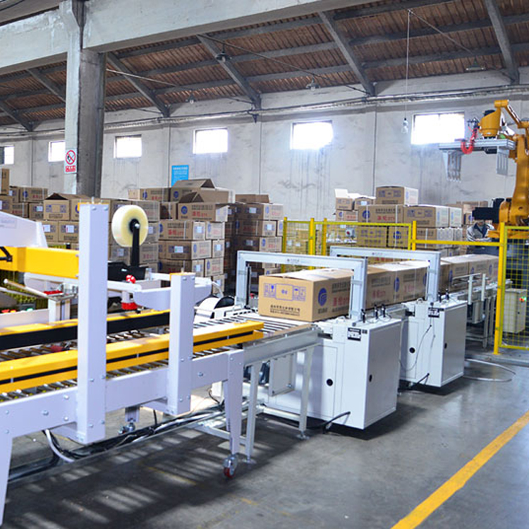 Automatic Case Erector Erecting Automatic Carton Box Case Erector Bottom Sealer Case Erector Packing Line