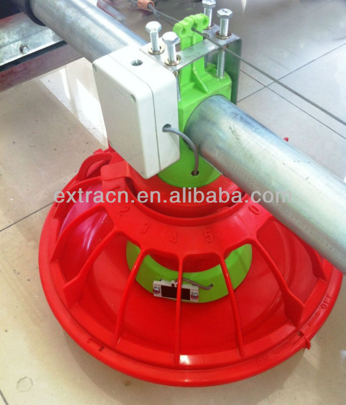 Free Range Layer Feeding System