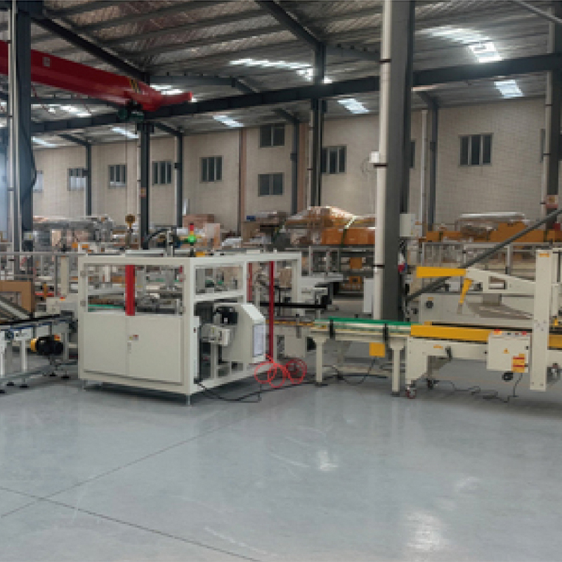 Complete New Automatic Carton Case Packing Pallet Wrapping System with Conveyor Equipment for Manufacturing Plant and Retail
