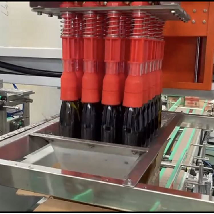 Case Packer with Robotic Pick and Place Arm for Bottled Beverage and Food Products