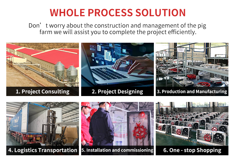 Automated Swine Liquid Timed Feeding System with Fermentation Function - New Condition Animal Husbandry Equipment