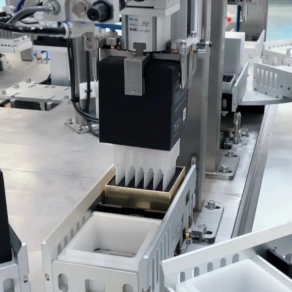 Delta Robot Integrated Cosmetic Sachet Packing and Automated Case Erector System