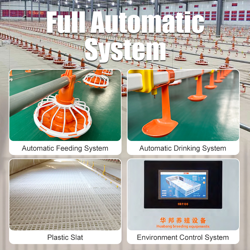 Fully Automatic Poultry Feeding System with Durable PP Material and Efficient Design for Modern Chicken Farms