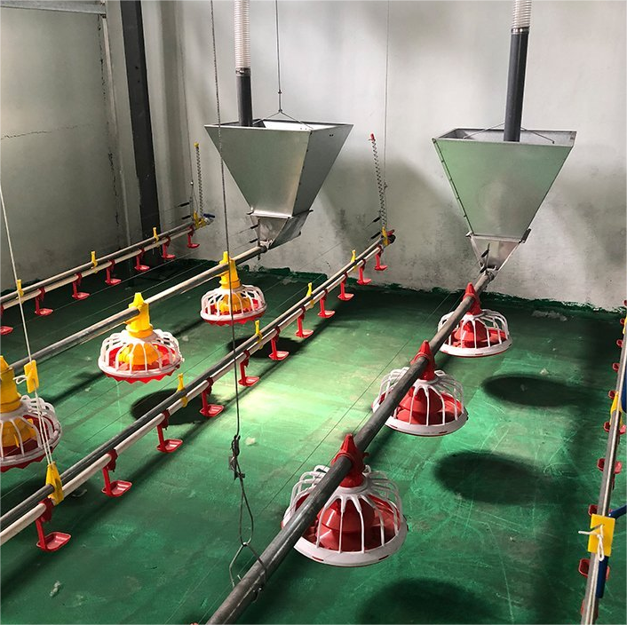 Feeding System