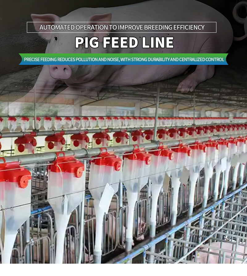 Pig Feed Equipment