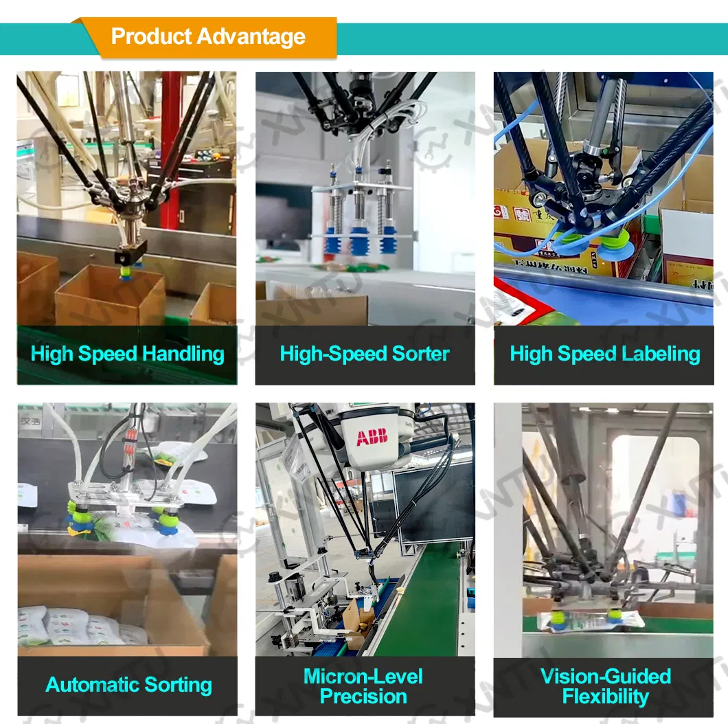 Delta Robot Case Packer Applications