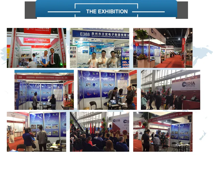 Chemical and Fertilizer Industry Automatic Batching Weighing System
