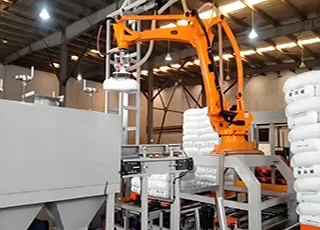 Robotic Depalletizing Process View 1