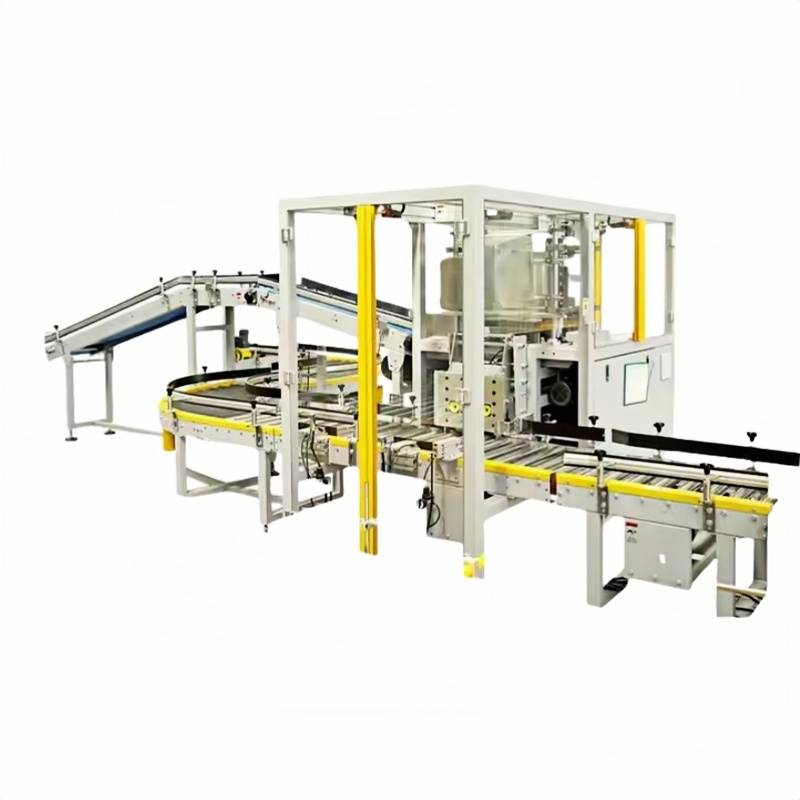 Automatic Case Packer Carton Box Packing Machine with Stainless Steel 304 Multifunctional for Chemical &amp; Food Applications