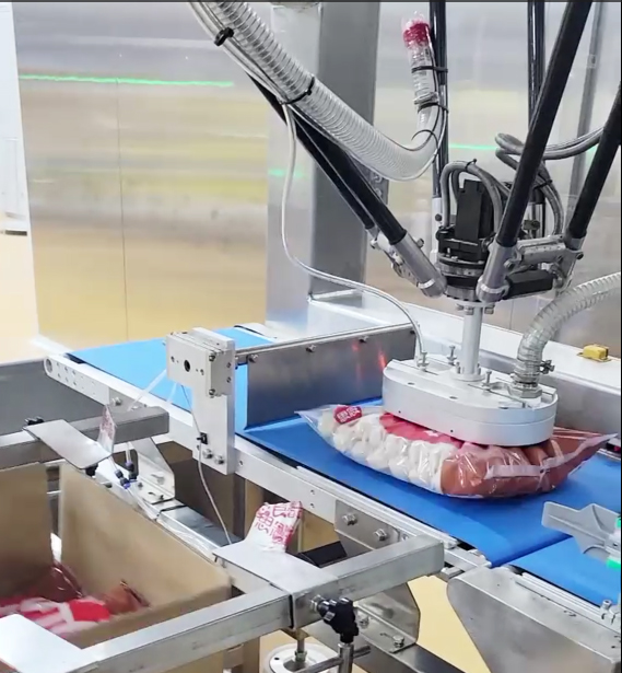 Intelligent Automatic Robotic Hand Packing Machine Cartoning Machine Case Robot Packer