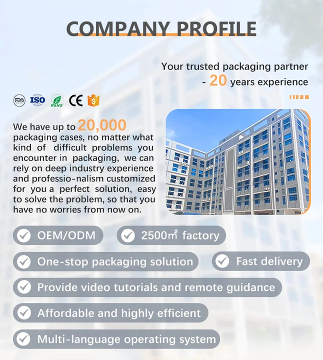 Flow Packing Machine Overview 1