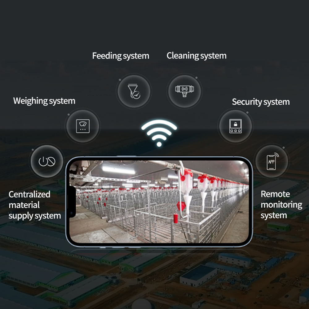 Automated Swine Liquid Timed Feeding System with Fermentation Function - New Condition Animal Husbandry Equipment