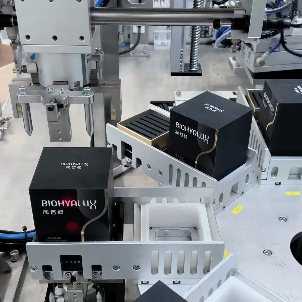 Flexible Delta Robot Packing System for Sachet Refills and Sample Pouches