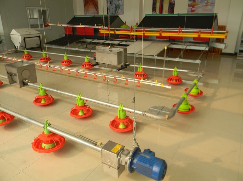 System layout with silo and cross auger
