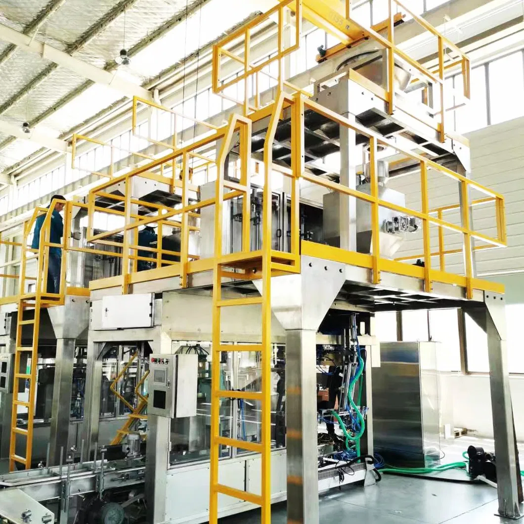 Packaging Machine Showcase 6