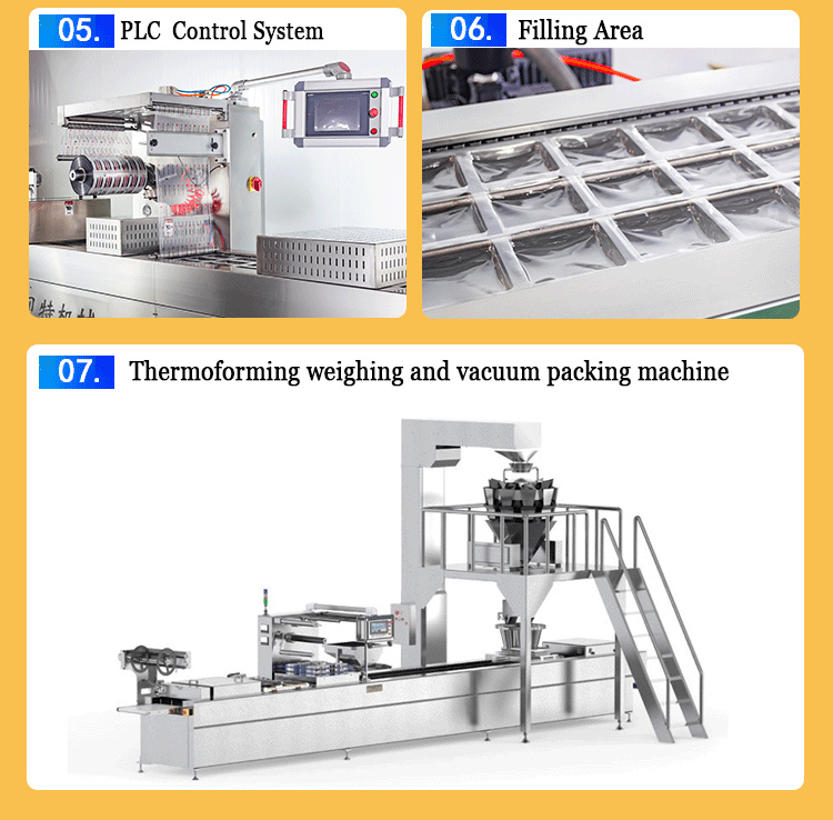 Thermoforming packaging machine options