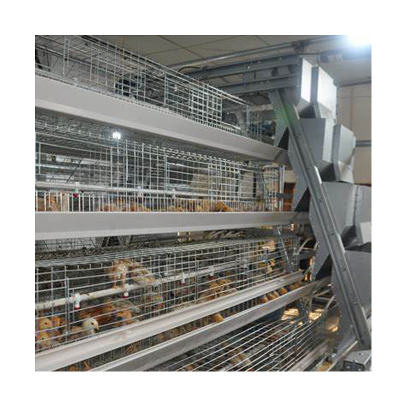 Chicken cage