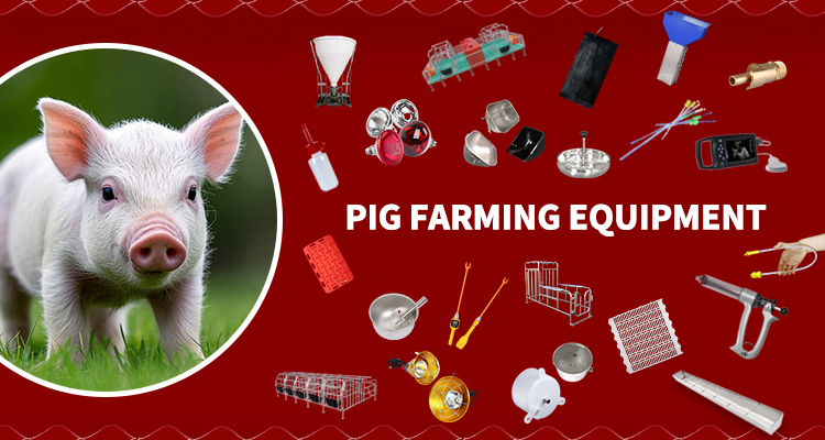 Pig Feed Equipment