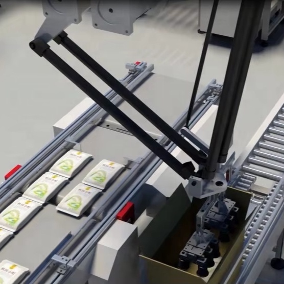 High Speed Delta Robot Carton Box Packer Pouch case Packing Machine Robotic Pick and Place Case Packer