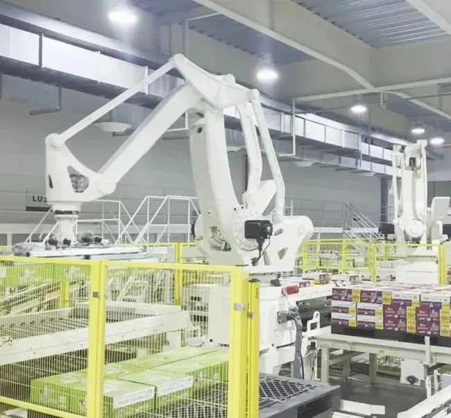 Intelligent Robotic Depalletizing System for Efficient Workflow Solutions