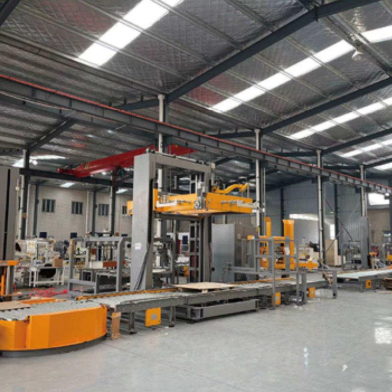 Carton Palletizing System Details