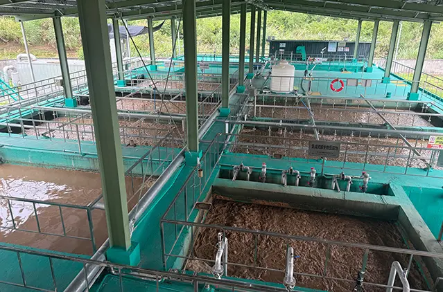 Synthetic leather production line detail