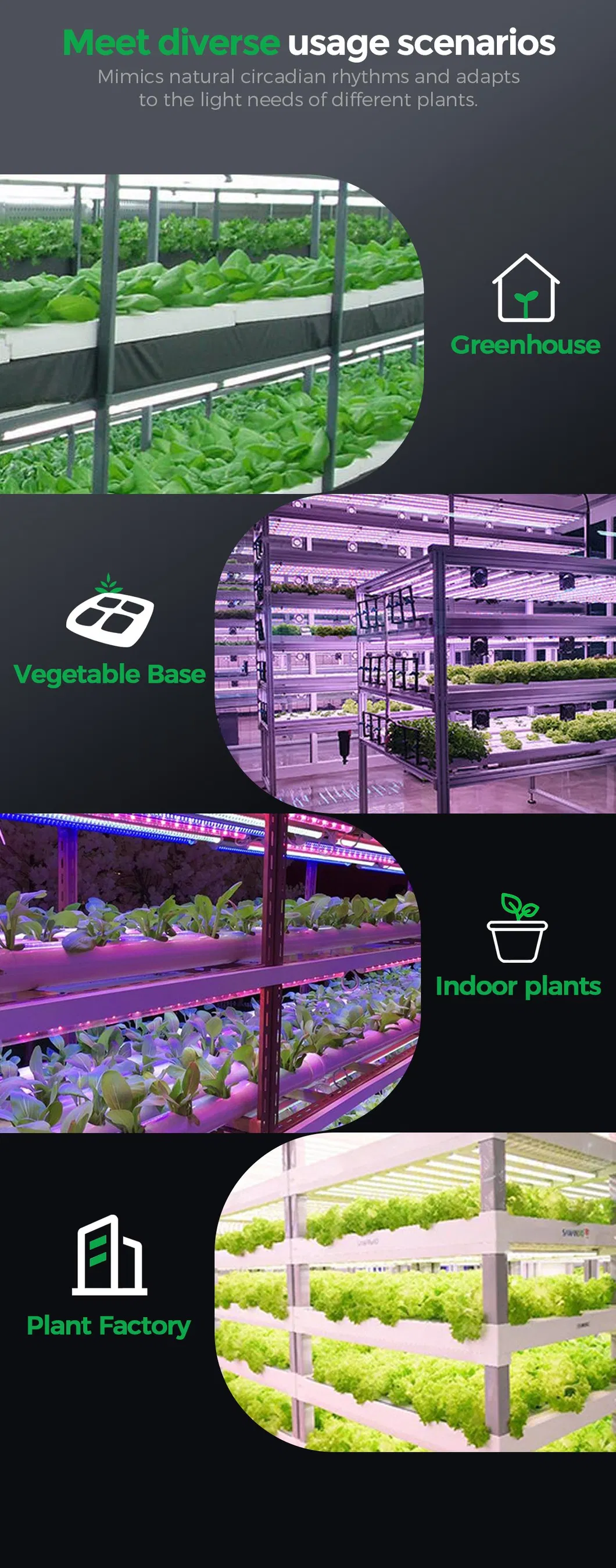 T8 Grow Light Detail