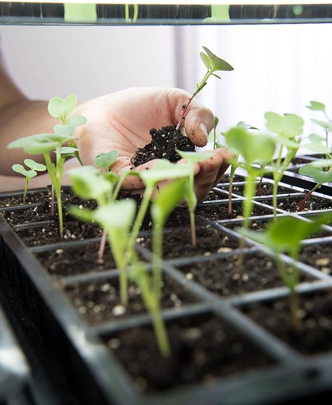 Direct Sale 2-Tier Grow Light System for Your Indoor Plants